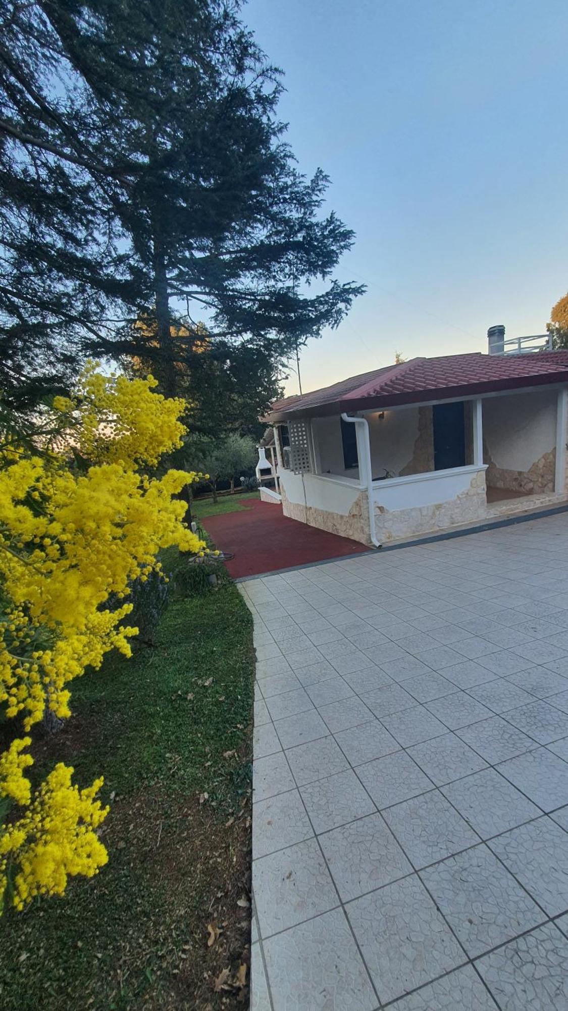 Mercadante - Luxury Holiday House Cassano delle Murge Dış mekan fotoğraf